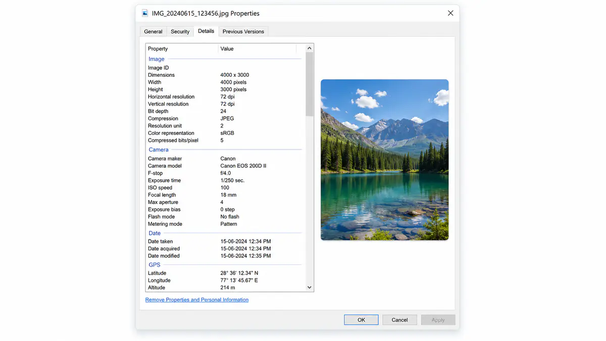 Viewing EXIF data in Windows properties Details tab