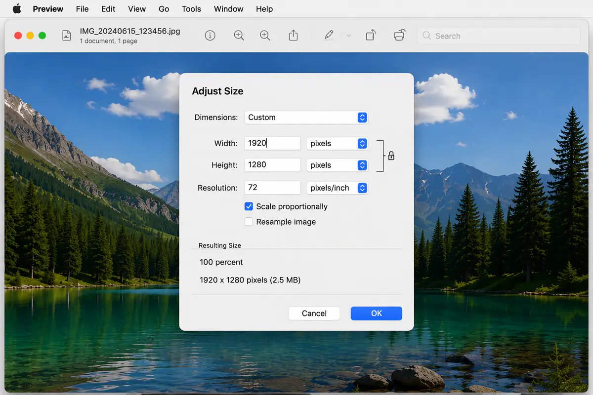Resizing an image in Mac Preview Adjust Size