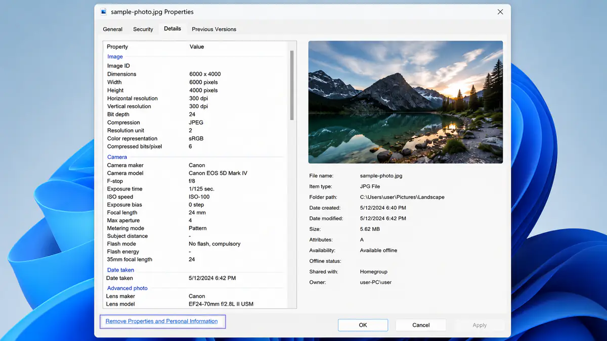 Removing photo metadata in Windows properties