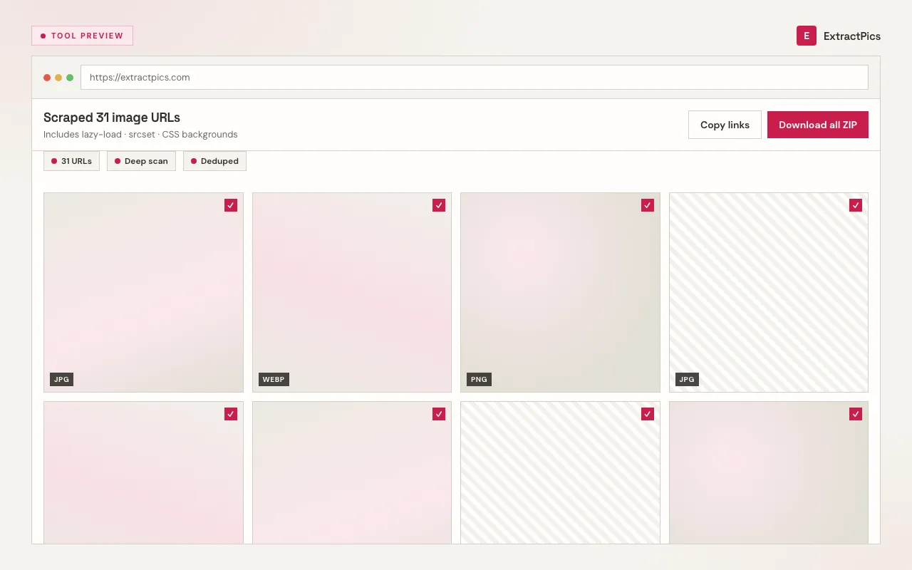 Image extractor results screen listing extracted image URLs with download actions