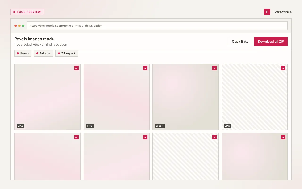 Pexels image downloader results preview showing downloadable free stock photos