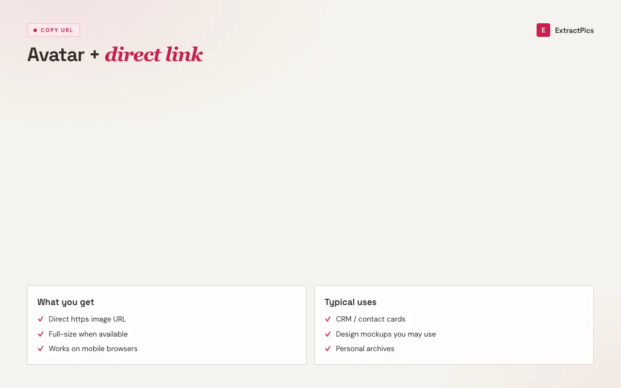 Profile picture URL tool explainer showing avatar detection and direct link copy